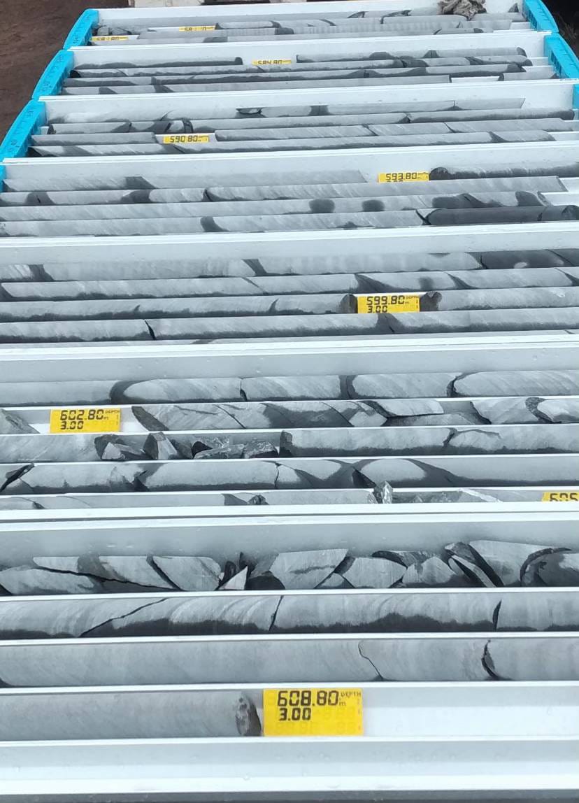 Core Sample Trays